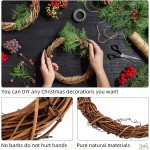 Christmas Pinecones Natural Pinecones Christmas Ornament Set Pinecones Ornaments DIY Craft Christmas Tree Decorations for Home Accent Decor Party Accessory 4.72 Inch,5 Pieces
