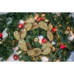Desert Steel Prickly Pear Wreath Holiday Home Decor Accent 16 Wreath
