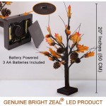 Bright Zeal 20 1-Pack Tall LED Maple Tree Lights Indoor Battery Operated LED Table Top Decorations for Living Room Acorns and Pine Cones Decorations for Home Lighted Tabletop Maple Tree