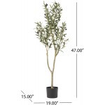 Christopher Knight Home 313745 Artificial Plants 4' x 1.5' Green
