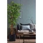 Deluxe 6 Feet Tall FICUS Silk Leaf Artificial Tree + 8 Base + 12 Plant Pot Skirt. 18 Feet of Vine Adorn Wide Real Trunks with Green Leaves Allowing Maintenance Free in-Door and Outdoor Use