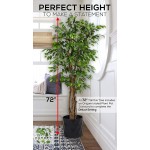 Deluxe 6 Feet Tall FICUS Silk Leaf Artificial Tree + 8 Base + 12 Plant Pot Skirt. 18 Feet of Vine Adorn Wide Real Trunks with Green Leaves Allowing Maintenance Free in-Door and Outdoor Use