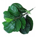 Firlar 2 Pack 20.9 Inch Artificial Fiddle Leaf Fig Tree Twig Stem Fake Green Leaves Bouquet Faux Greenery Plants Branches for Wedding Party Indoor Outdoor Yard Office Home Decor