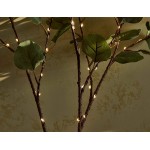 Hairui Lighted Eucalyptus Branches with Timer 24IN 36 LED Battery Operated for Wedding Christmas Party Home Spring Decor Vase not Included
