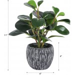 LORYDECO Artificial Potted Plants Real Looking Fiddle Leaf Plant with Pot Small Plastic Faux Trees with Cement Planter Fake Plant Table Decor for Home Indoor