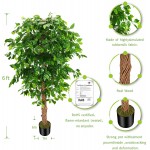 OXLLXO 6ft Artificial Ficus Silk Tree 72in with Plastic Nursery Pot Faux Tree Fake Plant for Office House Farmhouse Living Room Home Decor Indoor Outdoor