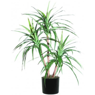 Vickerman Everyday 4' Artificial Marginata Extra Full Bush In A Black Plastic Pot Realistic Indoor Palm Tree Decor Faux Potted Decoration For Home Or Office Accent