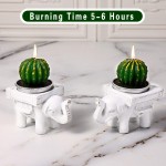 6PCS Succulents Tealight Candles with 2PCS Set Cute Elephant Shaped Tealight Candle Holders for Mother's Day,Candle Holders for Dining or Home Decor Ideal for Housewarming Gift Valentine's Day