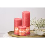 BOLSIUS 4 Pack Blossom Pink Rustic Pillar Candles 2.75 X 3.25 Inches Premium European Quality Natural Eco-Friendly Plant-Based Wax Unscented Dripless Smokeless 35 Hour Party Décor Candles