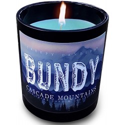 Bundy Candle True Crime Candle Collection Creepy Candles Forest Scented Halloween Decor Goth Serial Killers Gifts Serial Killer Ted Bundy