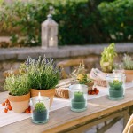 DEYIR Cute Succulent Cactus Tealight Candles in Clear Glass Jar 12Pcs Green Novelty Decorative Votive Candles House-Warming Wedding Baby-Shower and Home Decoration Gifts Green Succulents Candle