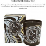 Diptyque Scented Candle Baies 6.5 oz New Packaging Gold and Black