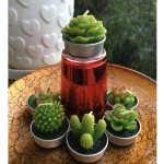 GIFTEXPRESS 18 Pcs Succulent Cactus Candles No Repeat Style Delicate Smokeless Scented Tealight Candles for Home Décor SPA Wedding Valentine's Day Birthday Gift Anniversary Celebration