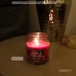 Hosley's Set of 3 2.65 oz. Apple Cinnamon Fragrance Jar Candle