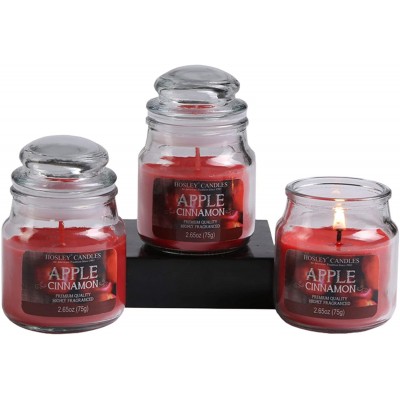 Hosley's Set of 3 2.65 oz. Apple Cinnamon Fragrance Jar Candle
