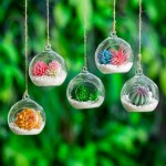 100 Pcs 3.15 Hanging Glass Tealight Holder Globe Plant Terrariums Glass Orbs Air Plants Tea Light Candle Holders Package Improved Home Decor Indoor Outdoor Garden with 2 Holes 90 Pcs + 10 Pcs
