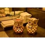 Decozen Lucky Owl Tea Light Holders Set of 2 use with T Light Candles in Vintage and Modern Interiors Home Decor Table Décor Console Table Side Table Living Room Guest Room Study Room Kitchen Decor