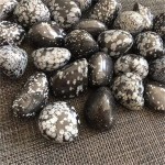 DSJJSUU Natural Quartz Crystal Black Tourmaline Tumbled Decorative Stones Crystal Stones for Home Decor Decorative Color : Black Size : 100g