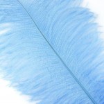ZUCKER Large Ostrich Feather Wedding Decorations Quality Home Decor 17 inch 12 Pieces Sky Blue