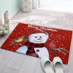 Edwiinsa Bedroom Plush Area Mat Fluffy Christmas Shag Rug for Living Room Absorbent Doormat for Indoor Luxury Accent Mat Home Decor 16x24 Snowman Cardinals Snowflake Merry Christmas Red