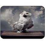 Soft Area Rugs for Bedroom Funny Owl Retro Magic Book Gloomy Sky Washable Rug Carpet Floor Comfy Carpet Kids Play Mats Runner Rug for Floor Accent Home Decor-