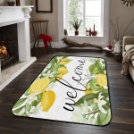 Soft Area Rugs for Bedroom Welcome Summer Fresh Lemon Leaf Pure Daisy Washable Rug Carpet Floor Comfy Carpet Kids Play Mats Runner Rug for Floor Accent Home Decor- 5'x7'