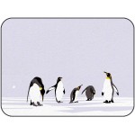 Soft Area Rugs for Bedroom Winter Cute and Funny Emperor Penguin Washable Rug Carpet Floor Comfy Carpet Kids Play Mats Runner Rug for Floor Accent Home Decor-