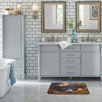 Harneeya Border Collie and Leaves Bathroom Rugs Non-Slip Abstract Door Mat Print Home Decor Mats Multicolor 16x24 Inch