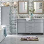 Harneeya Cute Border Collies Bathroom Rugs Non-Slip Bath Mat Print Home Decor Mats Multicolor 18x30 Inch