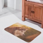 Harneeya Husky and Sunset Bathroom Rugs Non-Slip Abstract Coral Velvet Mats Print Home Decor Mats Multicolor 16x24 Inch