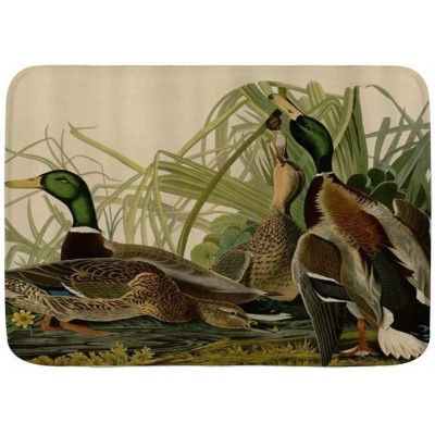 WINCAN Bath Mat Rug,Mallard Duck Audubon Bird Vintage,Plush Bathroom Decor Mats with Non Slip Backing,29.5" X 17.5"