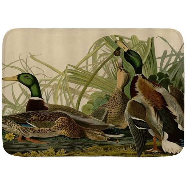 WINCAN Bath Mat Rug,Mallard Duck Audubon Bird Vintage,Plush Bathroom Decor Mats with Non Slip Backing,29.5 X 17.5