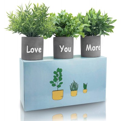 3 Pack Mini Potted Fake Plants Artificial Plastic Eucalyptus Plants with Love You More Sign for Home Office Desk Decoration Mother's Day or Birthday Gifts for Sister Aesthetic Gifts for Women