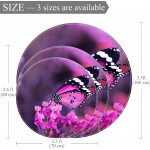 Purple Butterfly Round Indoor Outdoor Area Rugs Runner Rug Non-Slip Backing Floor Carpet for Sofa Living Room Bedroom Modern Accent Home Decor 31.5in