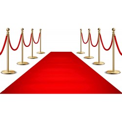 Red Carpet Runner for Party 2x15ft ,70GSM ,Hollywood Red Carpet Roll Out for Special Event Glamorous Movie Theme Party Decorations Red Runway Rug for Wedding Red Aisle Runner for Prom