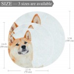 Shiba Inu Winter Dog Round Indoor Outdoor Area Rugs Runner Rug Non-Slip Backing Floor Carpet for Sofa Living Room Bedroom Modern Accent Home Decor 39.4in
