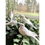 6 White Artificial Feather Dove Assortment on Clip- 16 Pieces Christmas Ornament Tree Decor Home Accents Floral Arrangements Realistic Birds Craft Supplies Artificial Birds 16