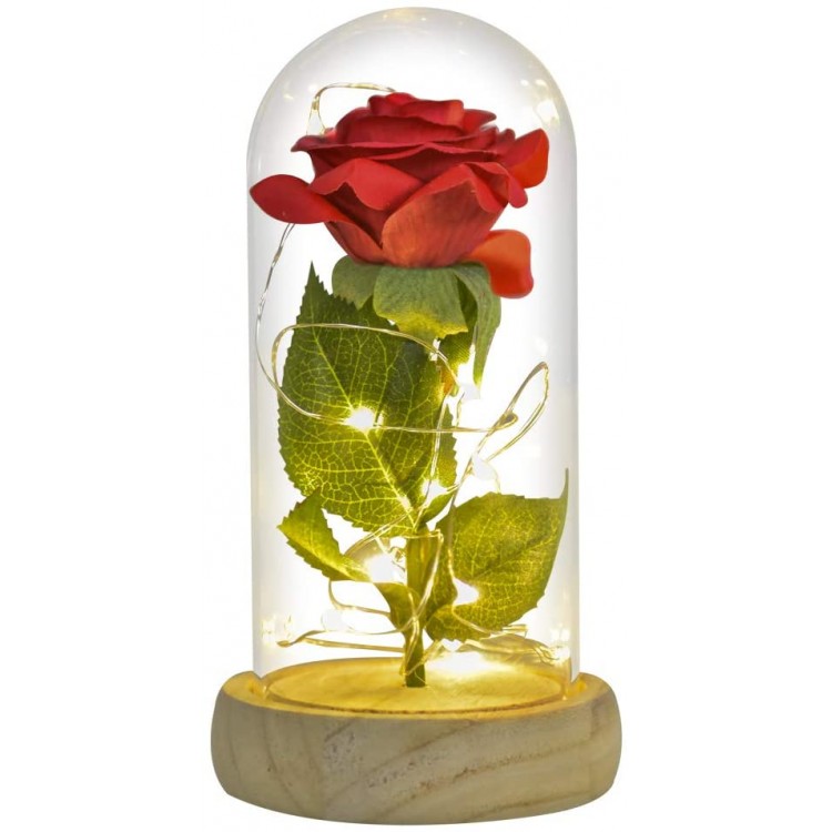 AINYROSE Preserved Rose Gifts for Mom Red Silk Rose in Glass Dome with LED Lights Base Romantic Home Decor Gifts for Mothers Day Wedding Anniversary Birthday Valentines Day