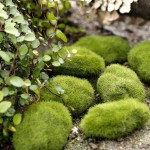AOIROE Decoration Micro Artificial Moss Garden Ornament Miniature F Landscape Airy Fake Home Decor Green XS