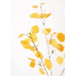 Artificial Aspen Leaf Spray in Yellow Gold 40 Tall Wedding Event and Home Decor