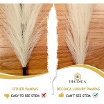 Artificial Fluffy Faux Pampas Grass Premium Tall Pampas Grass Decor Tall Branches for Boho Room Decor Length 43 Inches 18 Forks Vase Filler for Boho Home Decor | Beige 3 Stems