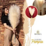 Artificial Fluffy Faux Pampas Grass Premium Tall Pampas Grass Decor Tall Branches for Boho Room Decor Length 43 Inches 18 Forks Vase Filler for Boho Home Decor | Beige 3 Stems
