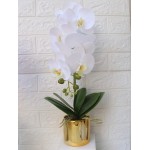 Artificial Orchid Bonsai with Golden Vase Lifelike & Real Touch Phalaenopsis Plant Flower Arrangement for Home Decor White