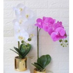 Artificial Orchid Bonsai with Golden Vase Lifelike & Real Touch Phalaenopsis Plant Flower Arrangement for Home Decor White