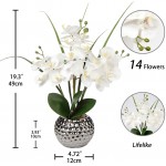 Artificial Orchids Flowers 20'' White Fake Flowers Arrangement Faux Orchid Plant with Silver Vase Phalaenopsis Orchid for Home Party Bathroom Table Living Room Office Kitchen Desk Decor