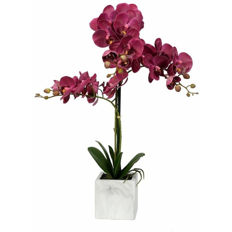 Artificial Phalaenopsis Floral Arrangement in Pot Decorative Home décor Accent Container Type: Pot