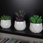Artificial Succulent Plants | Lifelike Indoor Faux Decor for Home or Office | Realistic Desk Planters Potted in White Ceramic | Eco Friendly Guaranteed to Stay Alive Forever Set of 4