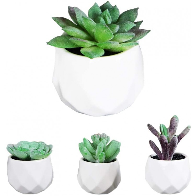 Artificial Succulent Plants | Lifelike Indoor Faux Decor for Home or Office | Realistic Desk Planters Potted in White Ceramic | Eco Friendly Guaranteed to Stay Alive Forever Set of 4