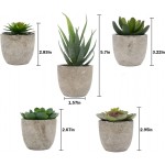 Artificial Succulent Plants,Mini Assorted Fake Succulents with Gray Pots Set of 5 for Home Decor Indoor