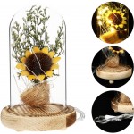 Balacoo Enchanted Flower Lamp Artificial Sunflower in Glass Dome LED Flower Lamp for Valentines Day Wedding Birthday Gift Home Desk Decor Yellow